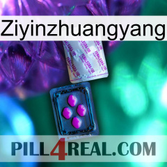 Ziyinzhuangyang 37
